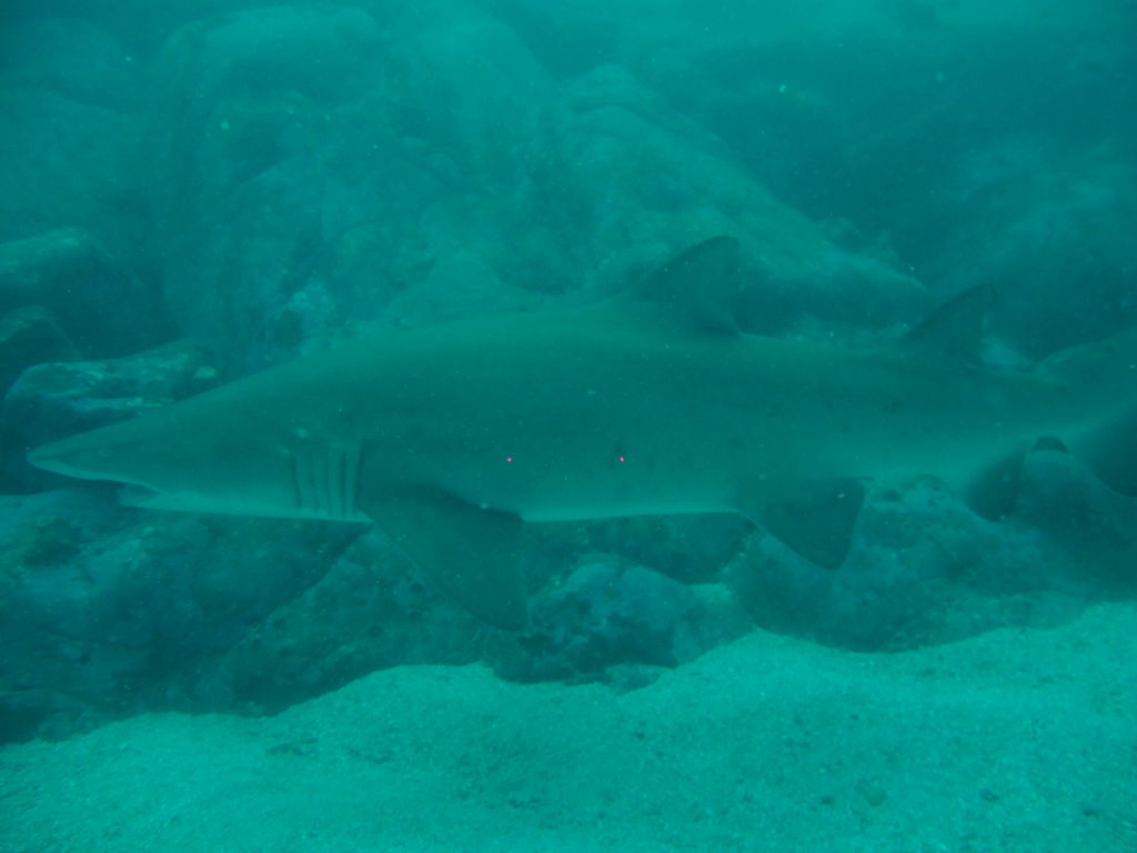 d507e349-738d-4965-8853-6170a59b2a9b