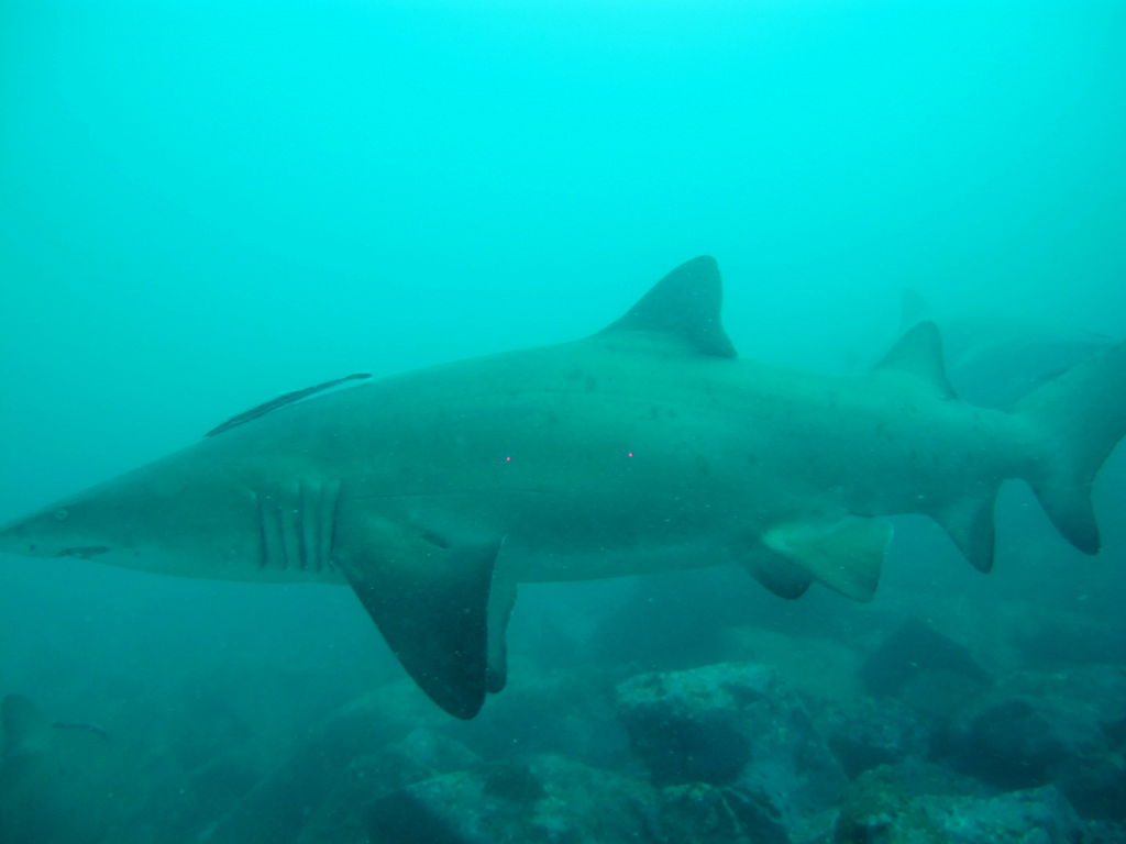 5db03250-fdc0-4e44-ade9-122cbce23a95