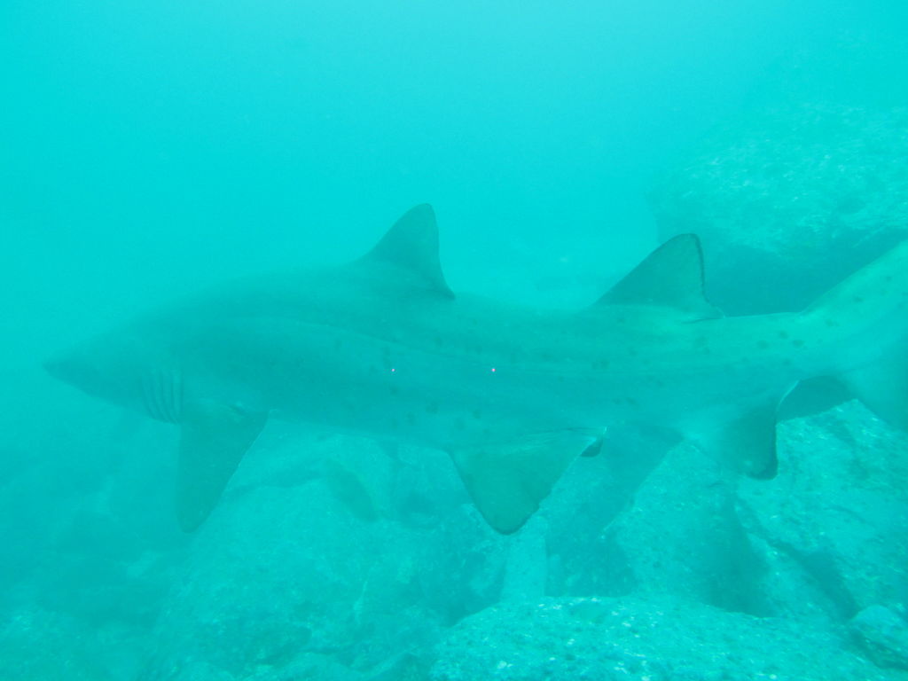 3f4f684a-1a10-4d47-9b5a-52c70ad74354