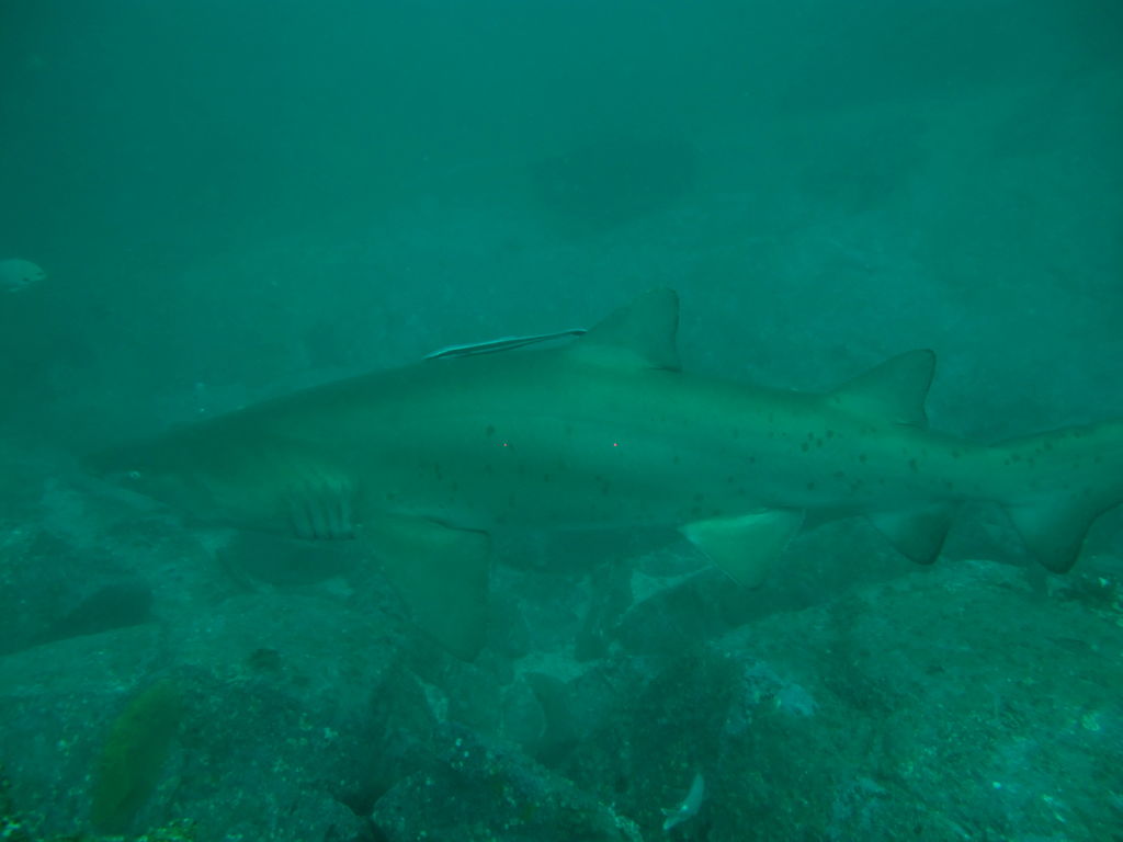 94058e19-13fb-47fe-960c-dddf89cae375