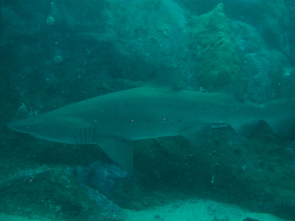 b1dc423e-d6ad-4f6f-ab12-1f5b6373765c