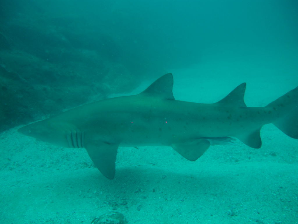 dfc8b299-cbf8-4c51-93c3-1eb846d6b192