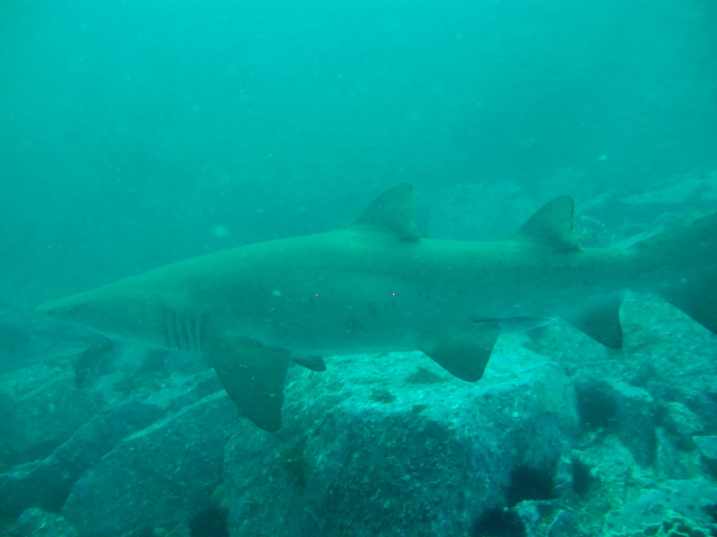 e5fb4bf5-46ba-43eb-9b99-9bf573572fd3