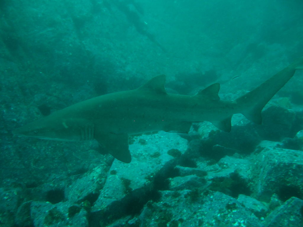 11cf39c0-0180-4063-8303-2ea5940e6e73