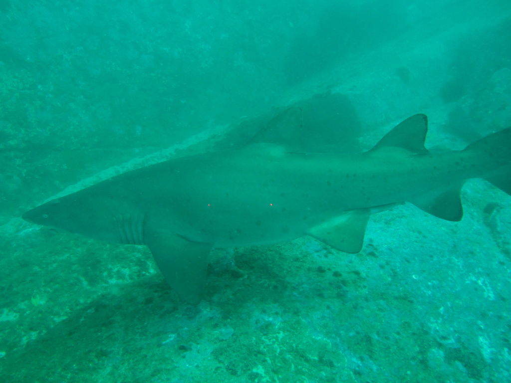 2bc39fb5-48a6-4fd8-ad92-d88db51a6b6a