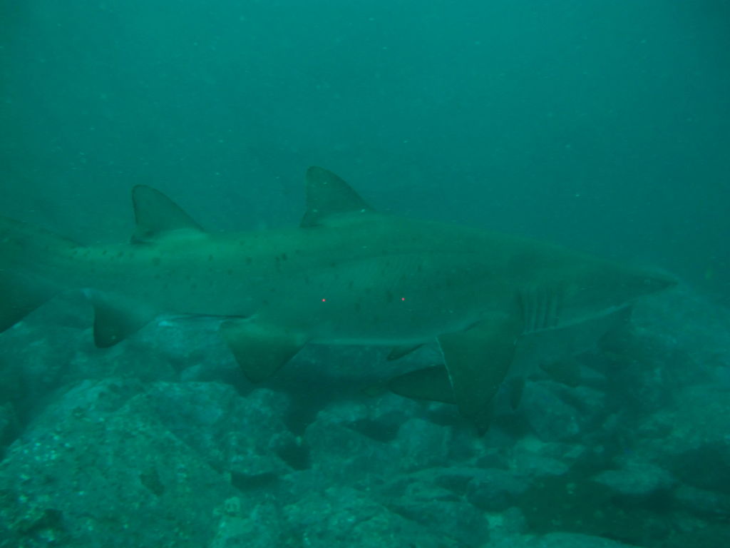 106d55b9-146e-48ef-8880-a6954d1896fd