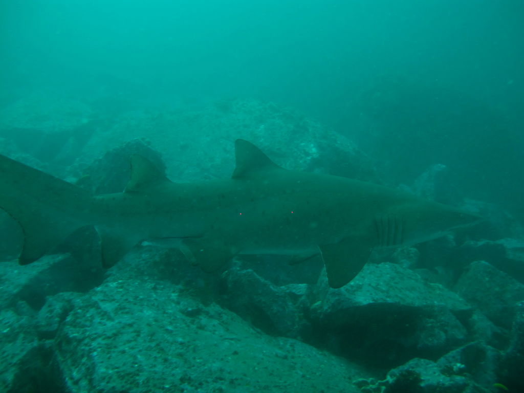 106d55b9-146e-48ef-8880-a6954d1896fd