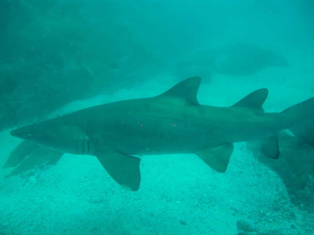 910caefa-0b21-4c21-89d5-b28aebaba05e