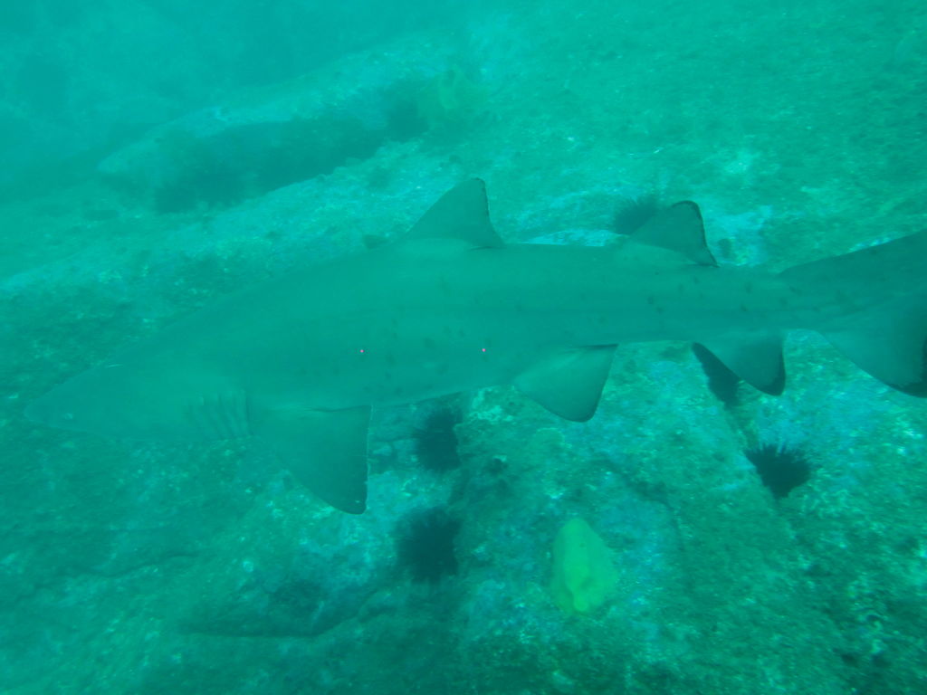 869fb4cc-76de-4f65-aef8-e3693b9aed5a