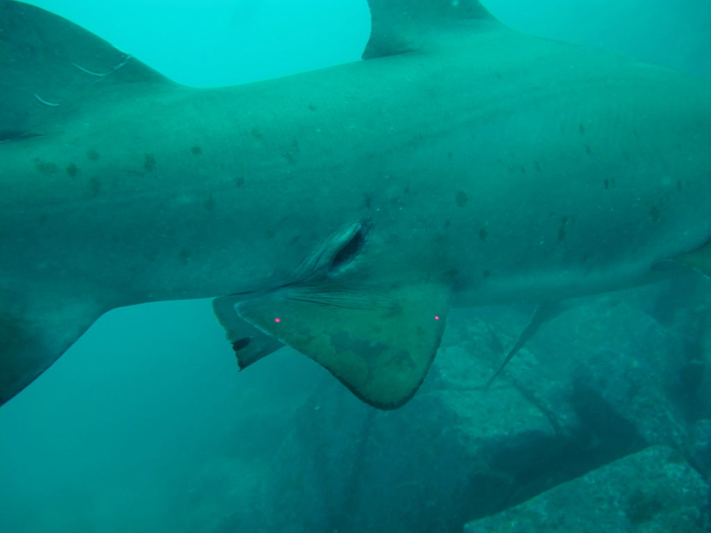 62fb4e86-8c23-4fe2-ab58-1a352af4e447