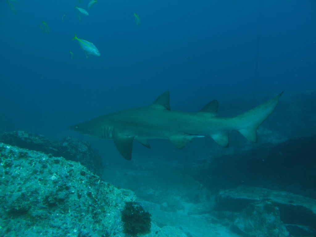 c0f0fb0d-88d0-4dba-b2b3-de87fb41ebda