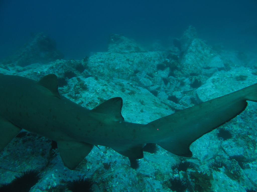 7bd6d07c-b379-45ec-8205-e17517a21653