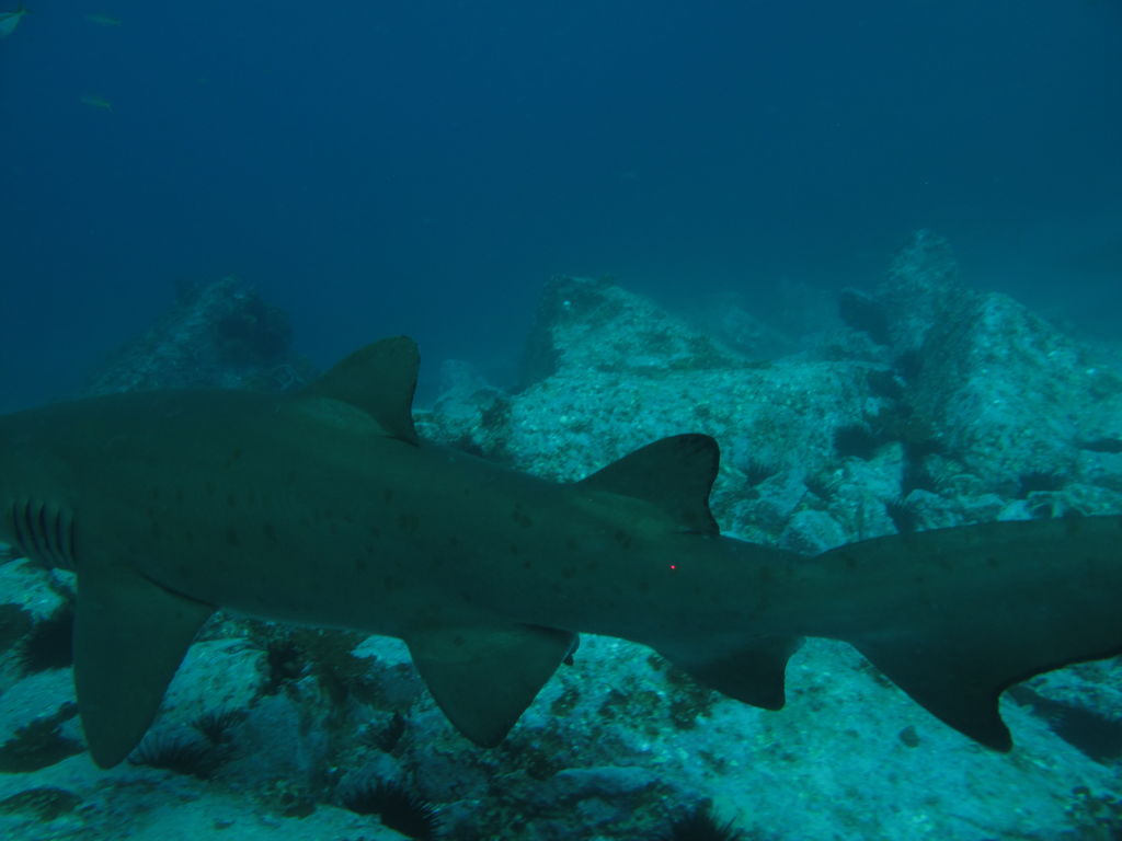 7bd6d07c-b379-45ec-8205-e17517a21653