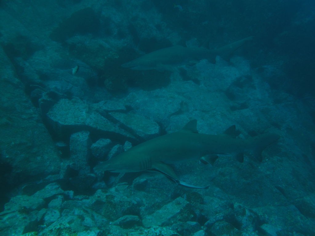 215cb0fd-a656-4feb-9b10-4c4a514d2bdc