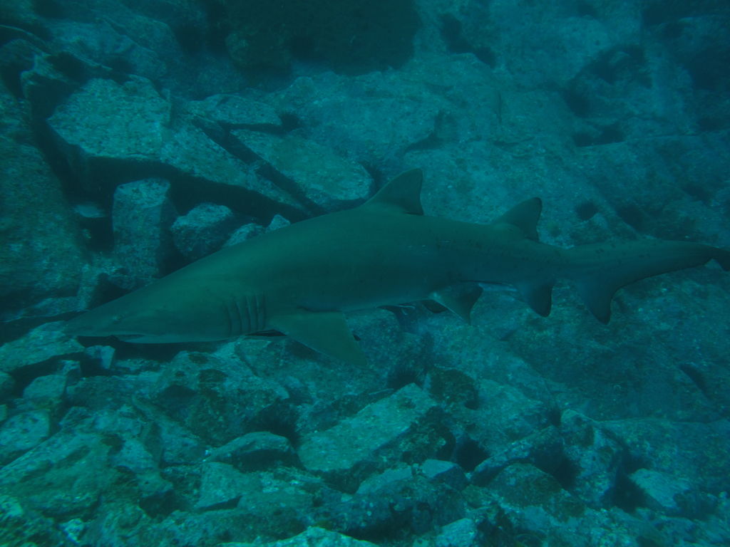 215cb0fd-a656-4feb-9b10-4c4a514d2bdc