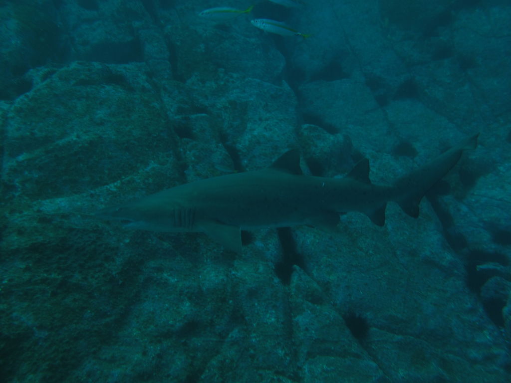 e434f8ba-a842-4113-9a6c-a6917fc618d1