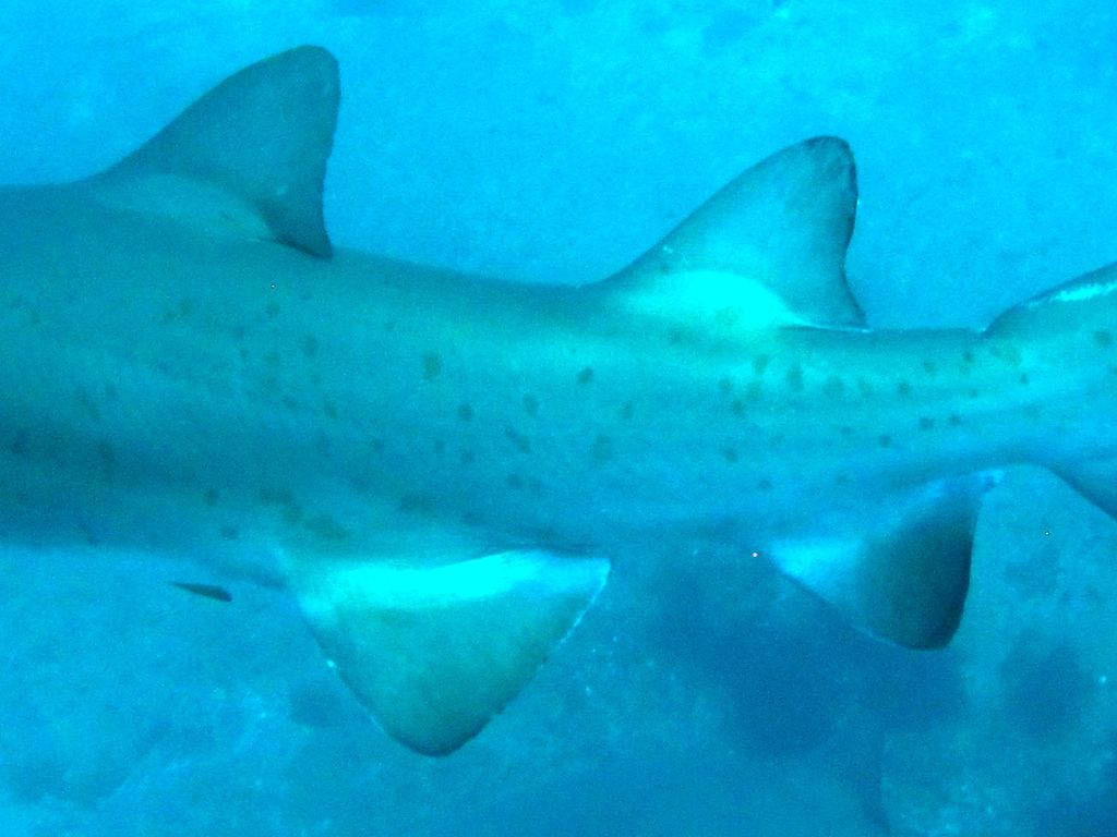 e9169409-4a23-4047-8135-4dd1e4600375