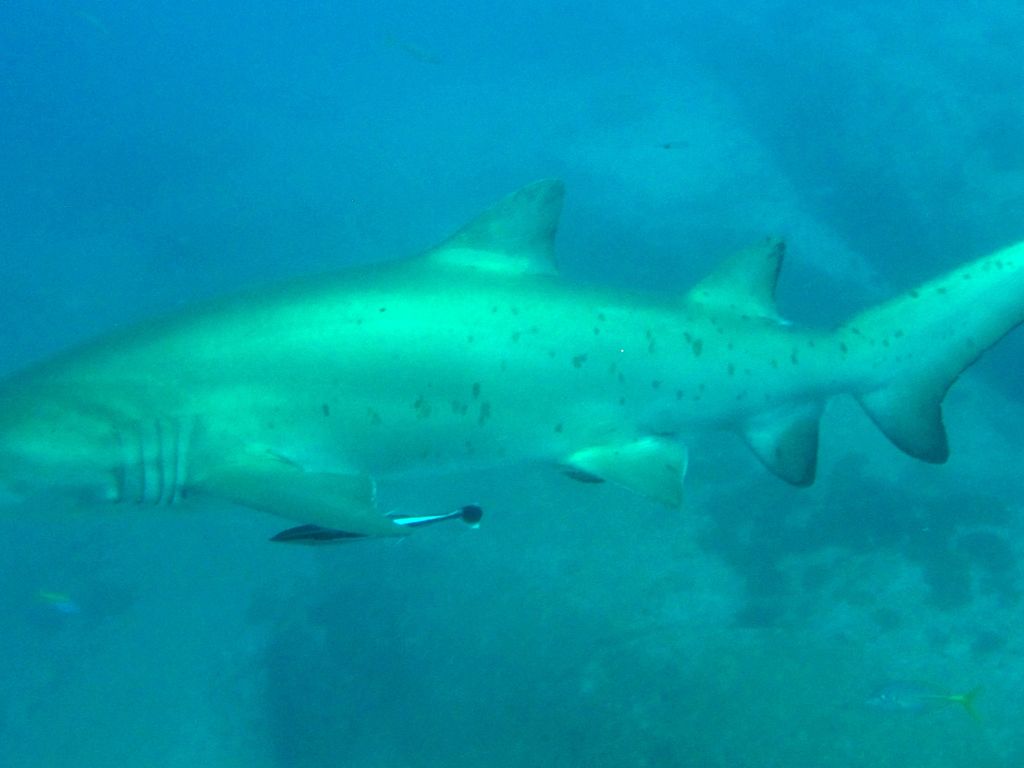 de8359c2-426e-409e-abc2-680ef2d6db96