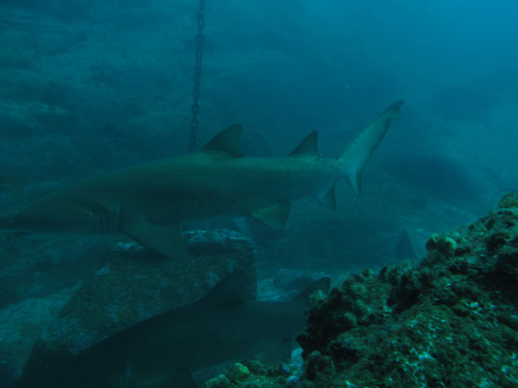 b669e0c9-b40f-492a-acda-3b3026f876b9