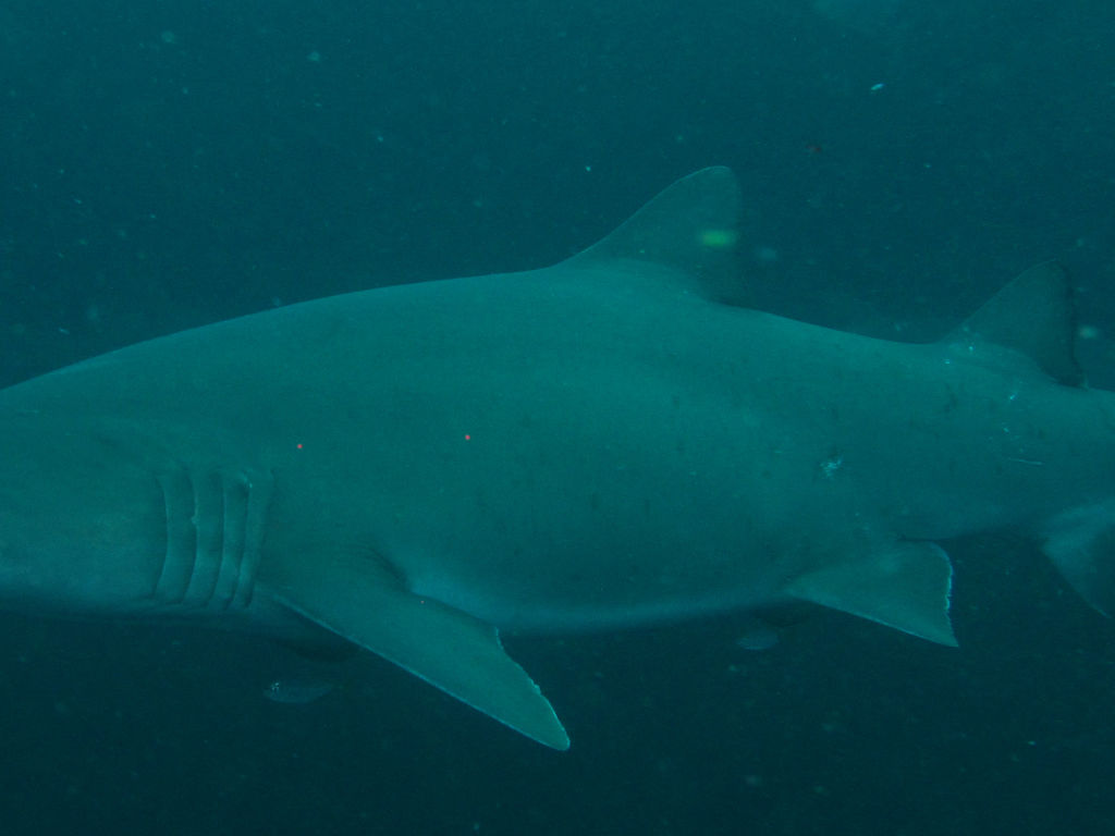 9bd331a7-375c-410d-8104-2ee65fc3ae03