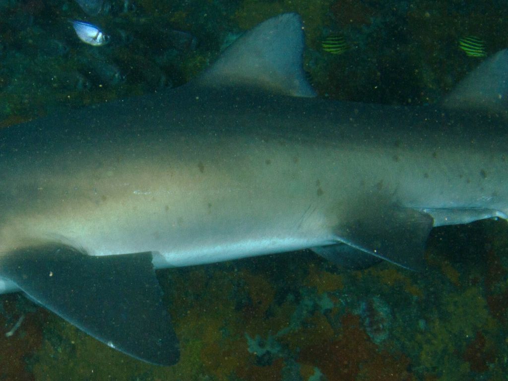 65e381c8-1874-45aa-8d15-222cbe644483