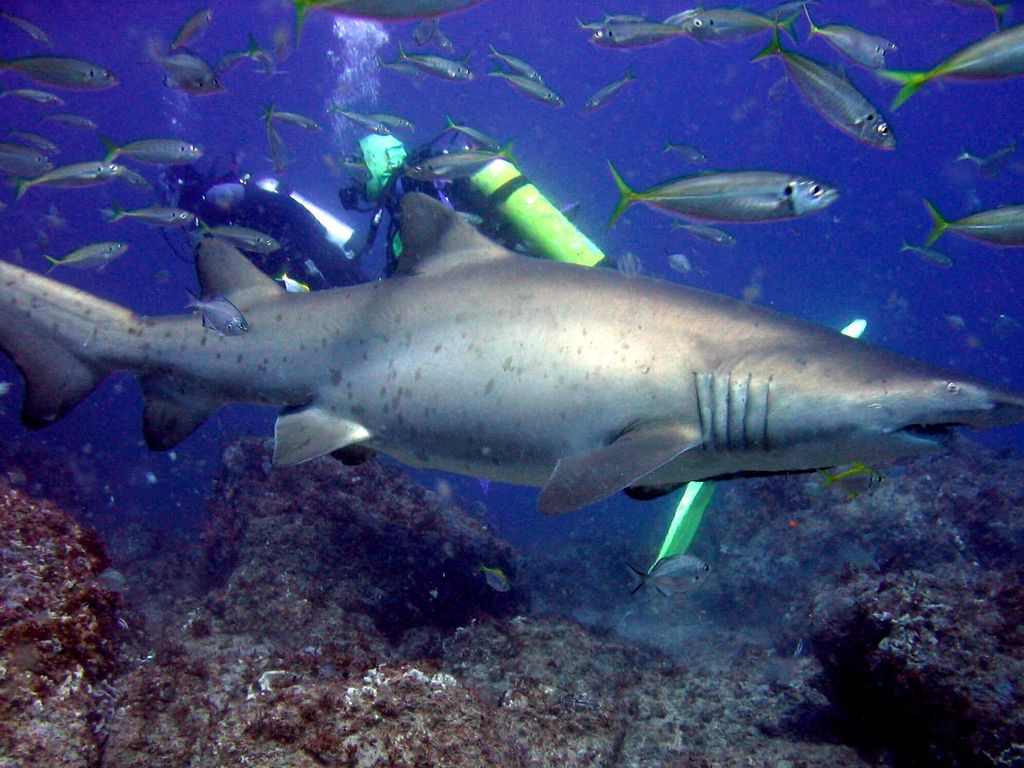 4c395e85-d7bf-41fd-b7fd-f7c07e7543e9