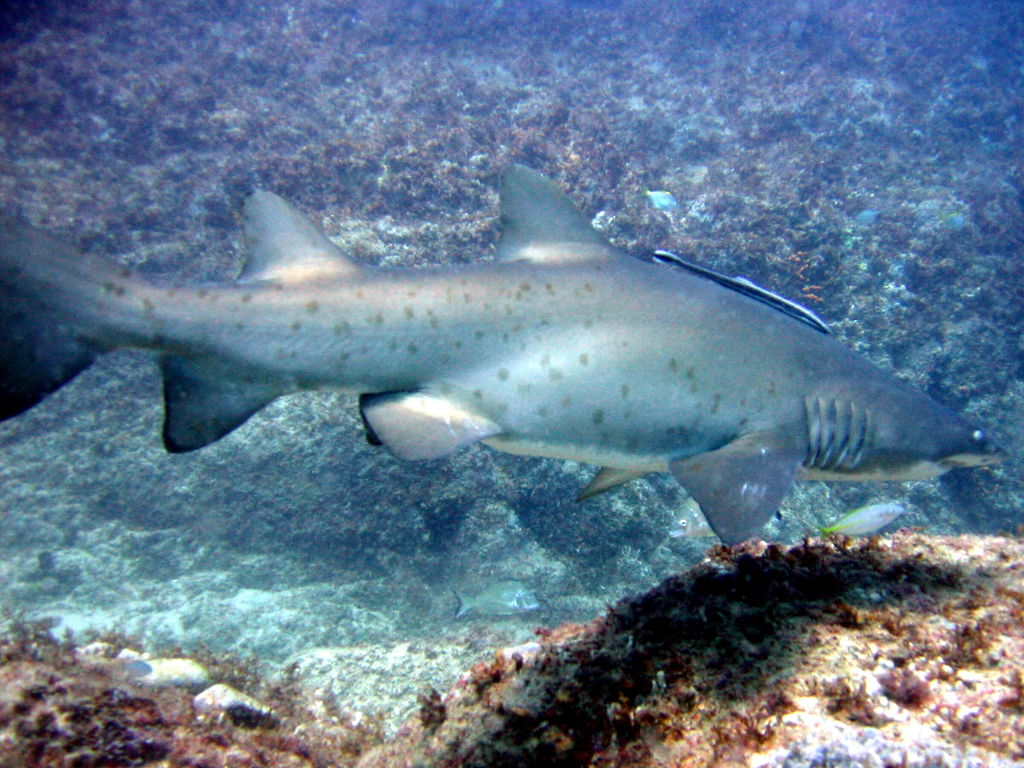 c2676c06-c68a-4cf5-9113-805d867c26d0