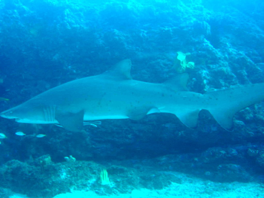 39142d4b-8827-47df-b830-6f7c2959846d