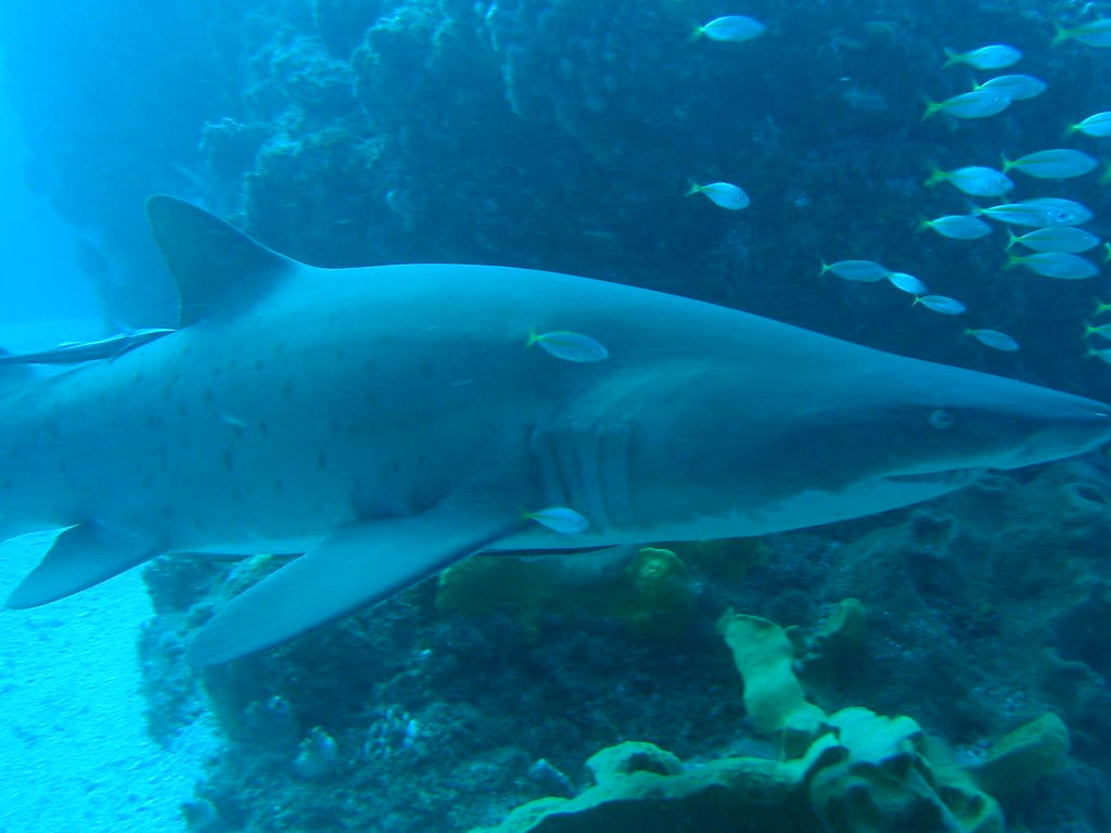 5708f6e2-5e54-4436-8475-027466d73a47