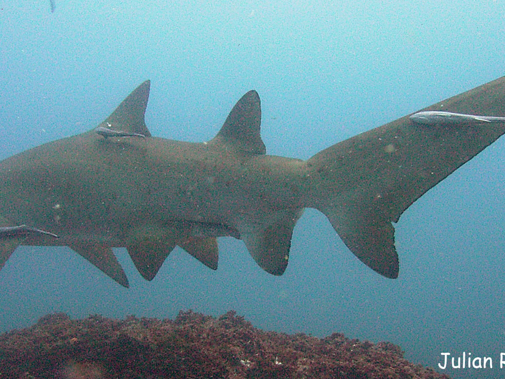 c79914c5-f00e-4c46-8316-0d0f93024726