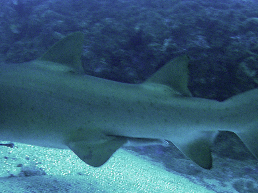 035b522d-7483-4fa2-9b91-d80b96b6deff