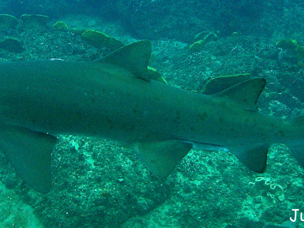 bc982baf-fb64-43ab-99d6-8446116aac95