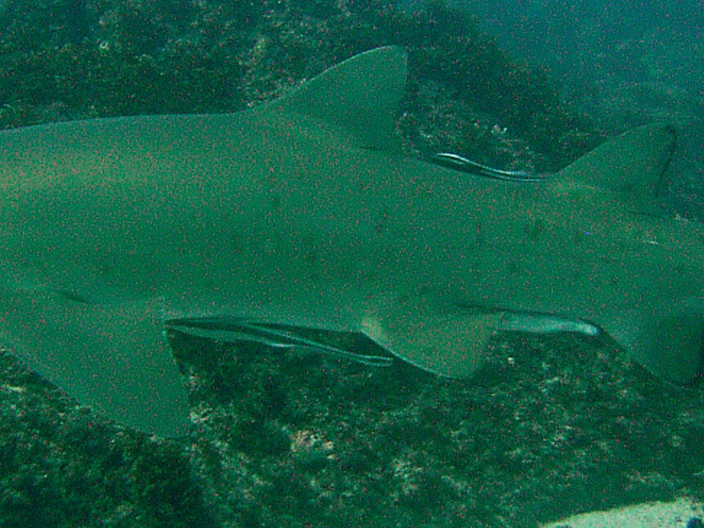 bc982baf-fb64-43ab-99d6-8446116aac95