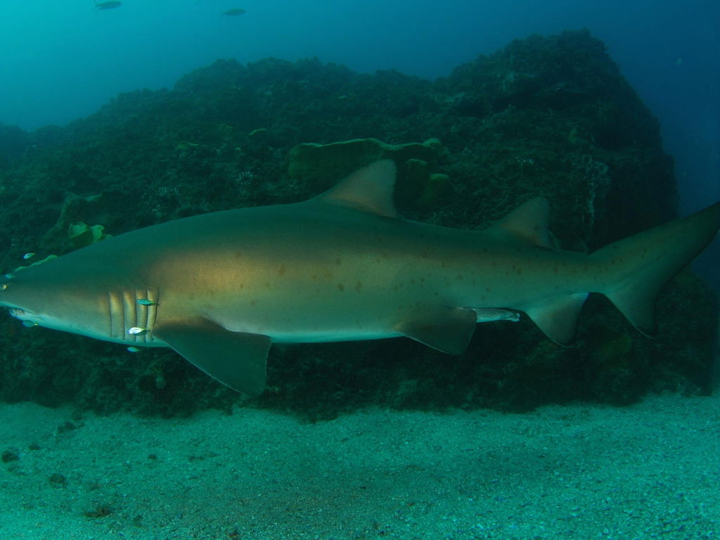 d7ad99c0-9d7d-49f5-abcb-f6610d6cc84b