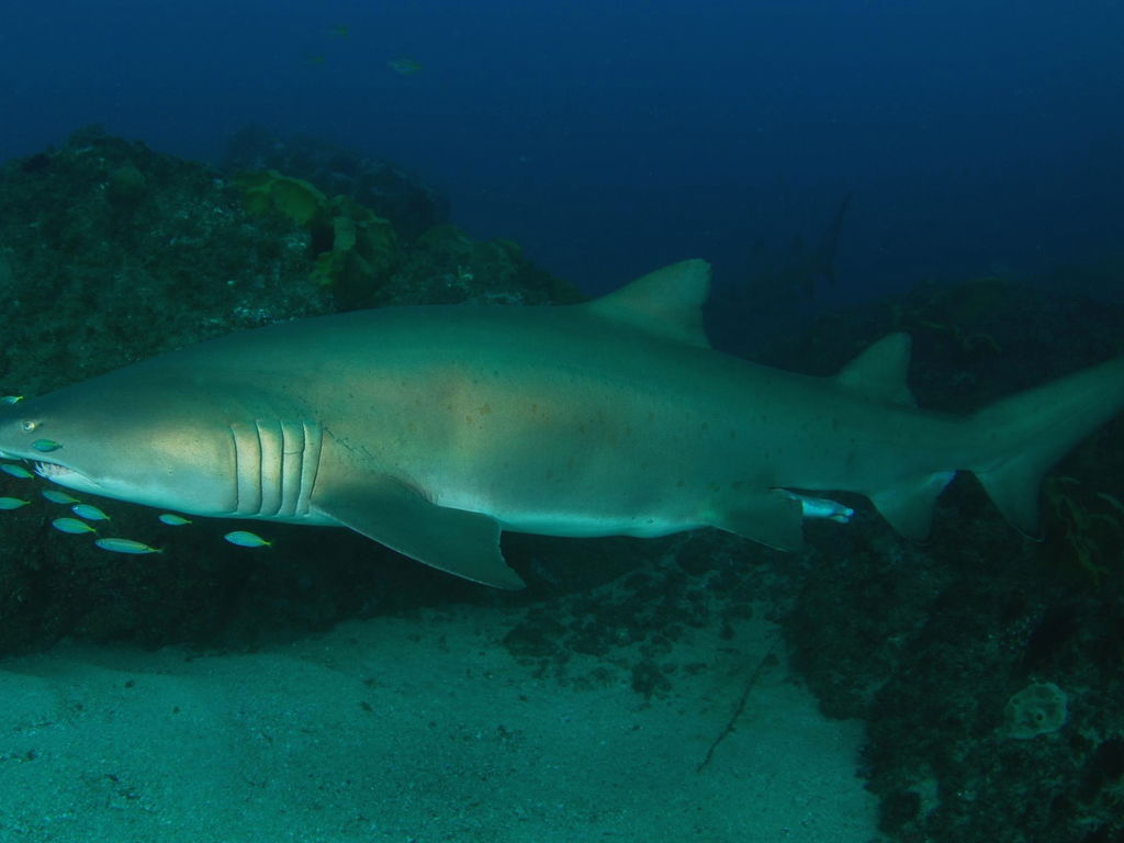 2911edc1-9aa1-46cb-a313-c2f650b6baf3