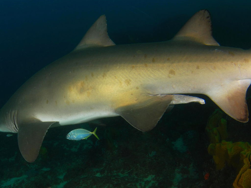 da54925d-b22f-4bed-9716-7430637dbdac