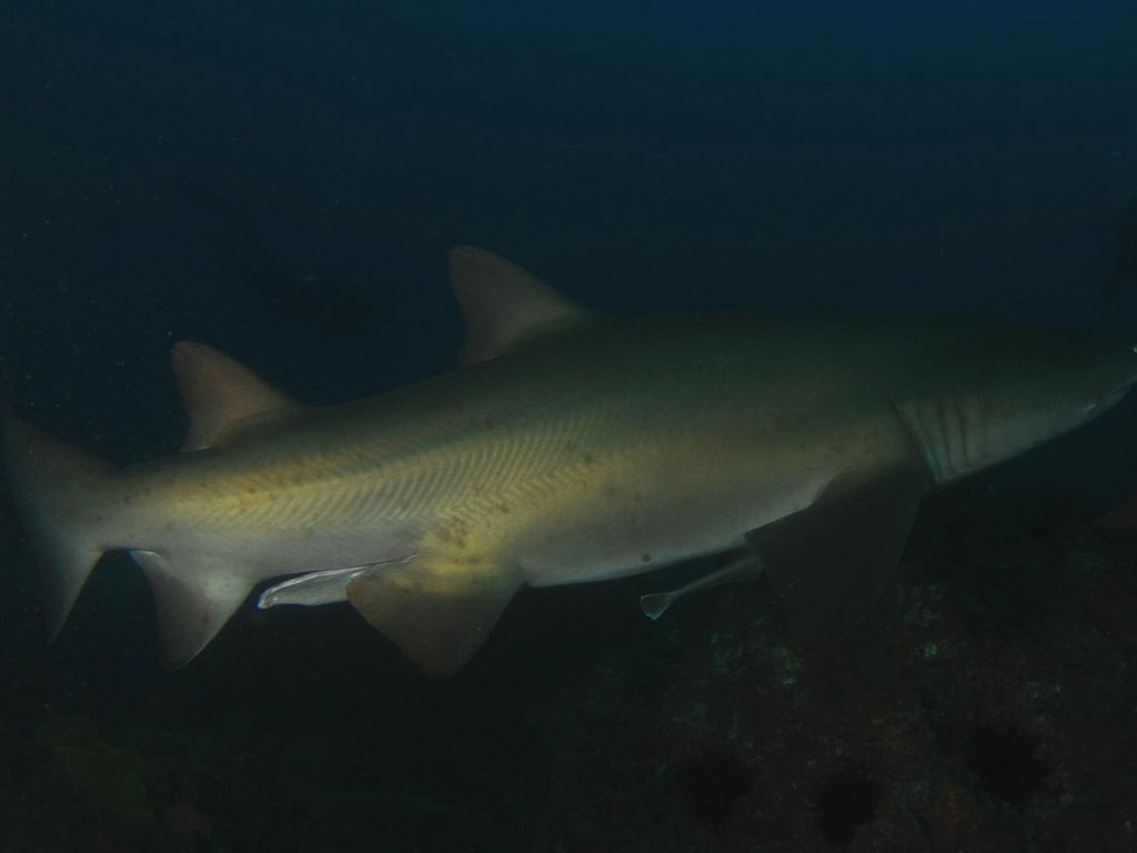 52a2410e-b5d1-47b0-a9d8-aa07f542591f