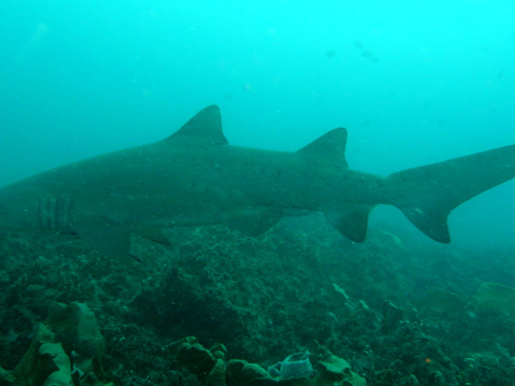 5f644484-36bb-4f36-945f-72d0d840d0d5