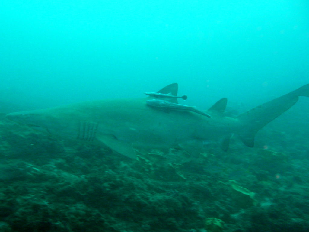 3c0af696-53da-45c0-aa68-8d02024b76fd