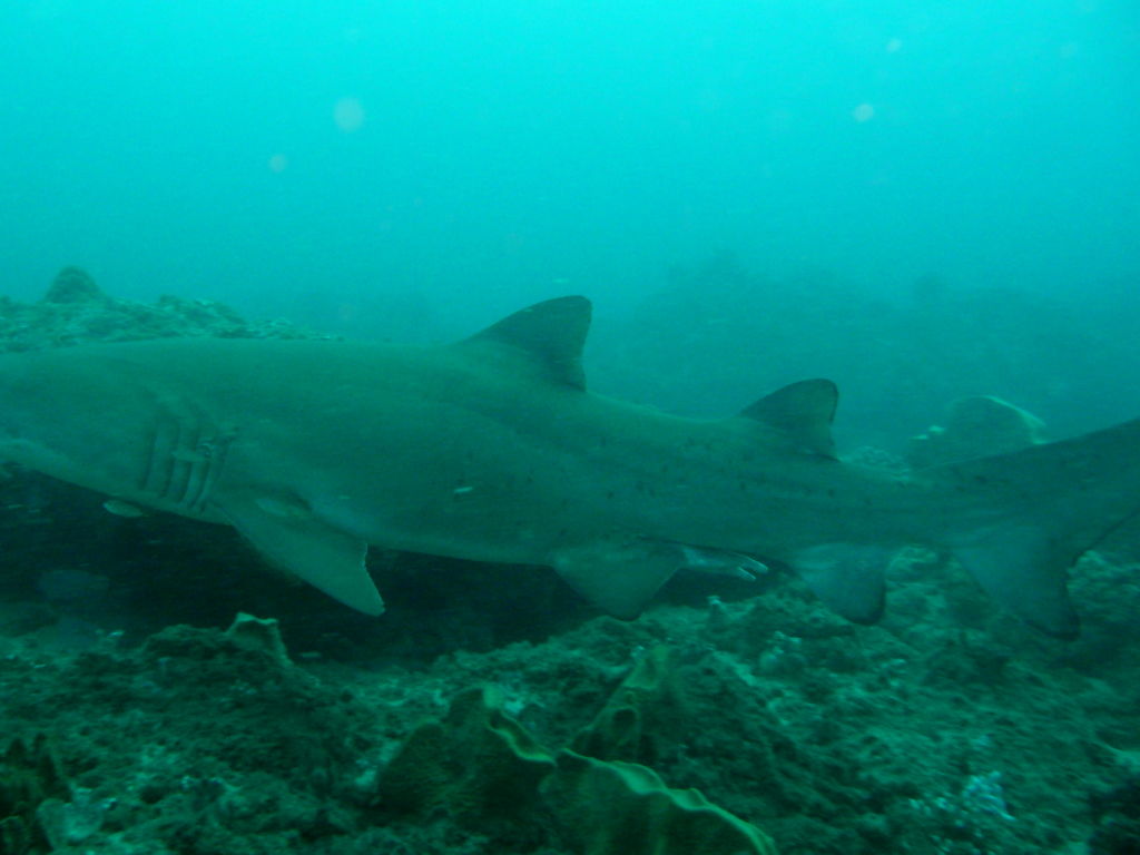 fb08d4b0-95bf-4f11-a96c-c66954e73039