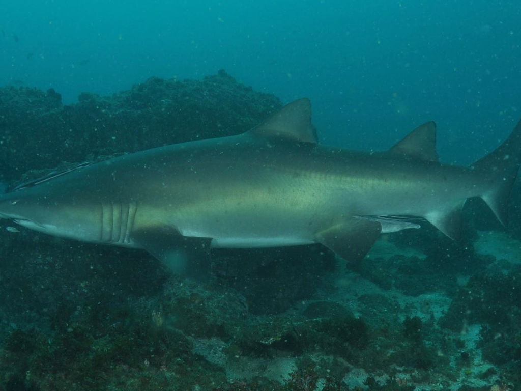 3c0af696-53da-45c0-aa68-8d02024b76fd