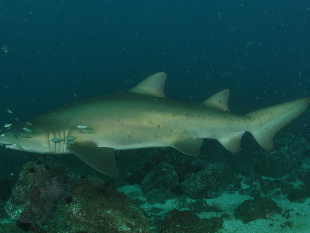 3c52398a-cf72-49a9-adc6-99f7ab4447b0