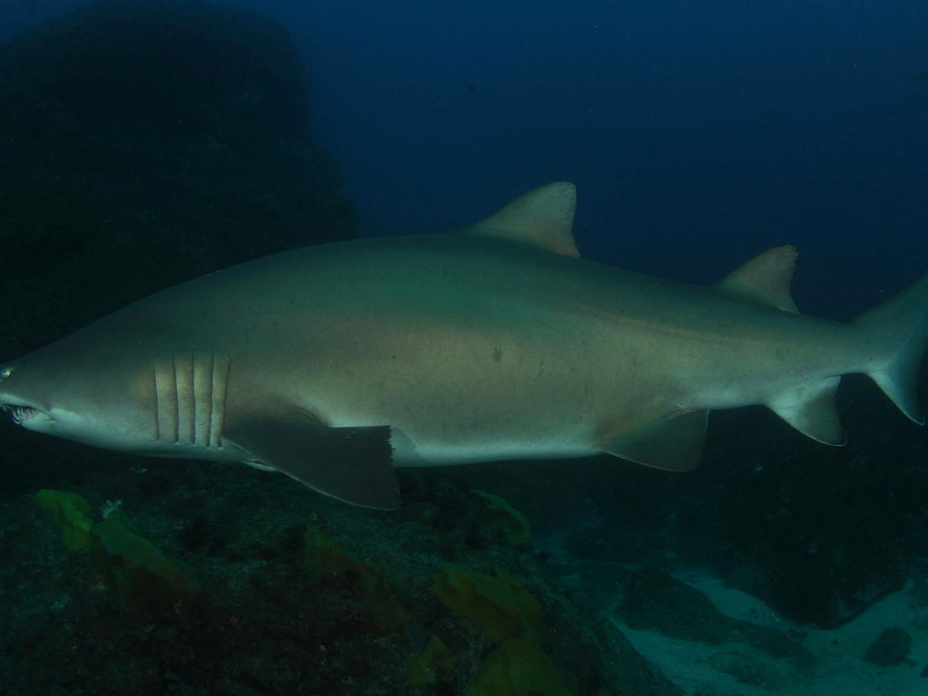 f59f2f58-9aa5-4b66-a413-90f34b5b8635