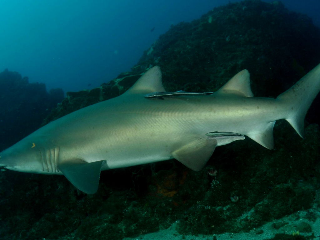 3c0af696-53da-45c0-aa68-8d02024b76fd