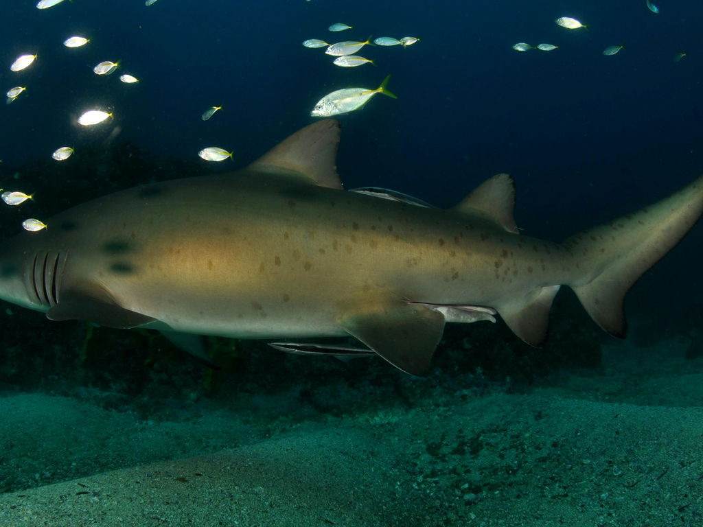 6173cbc3-497f-4a6d-981d-3c1f883ace94