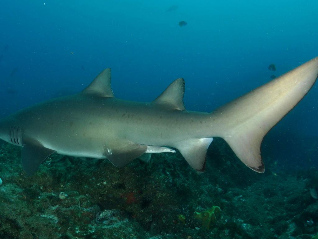 9ac5a058-6023-4317-b3c5-56c98709cd17