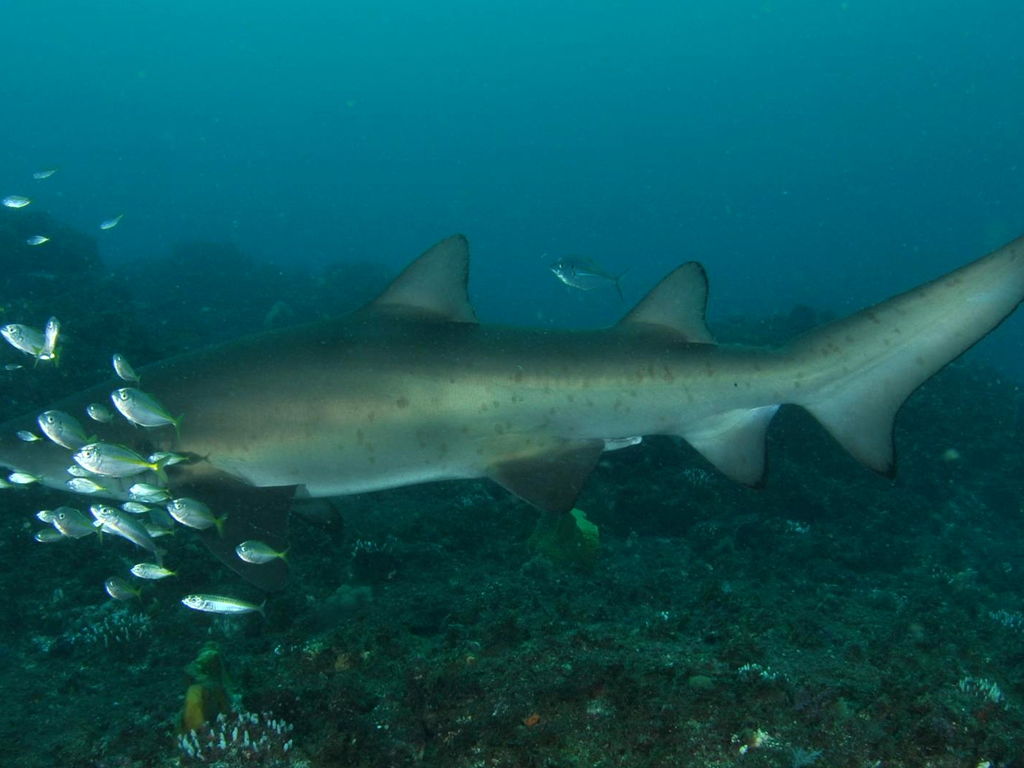 6c3201a7-8376-4018-ac78-7eeccbe094ad