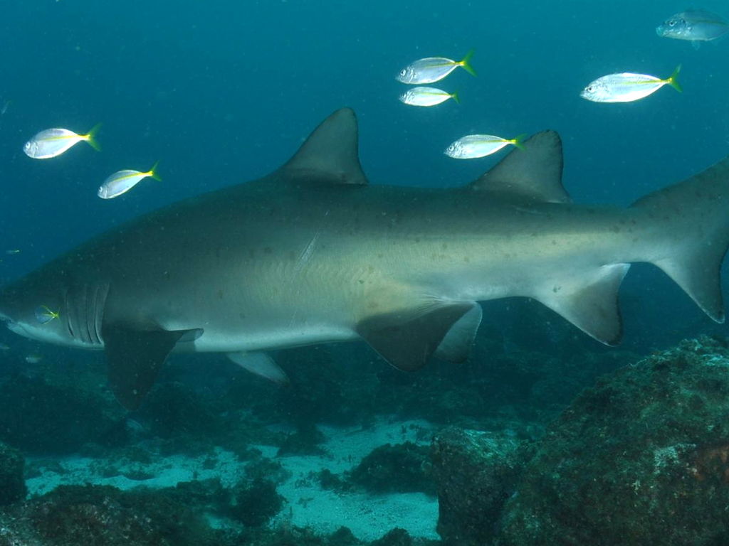 c844a25d-e950-4493-a74d-edb08487d8dc