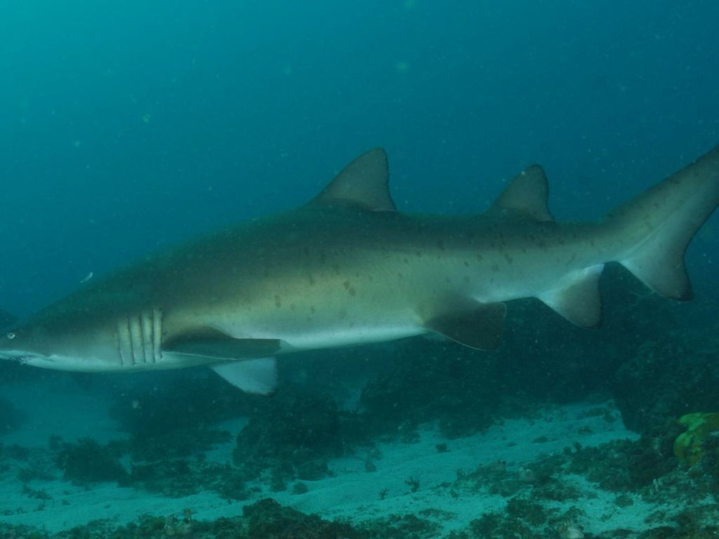 665339dc-4aa6-4b53-8f6c-0b4cbe9bf243