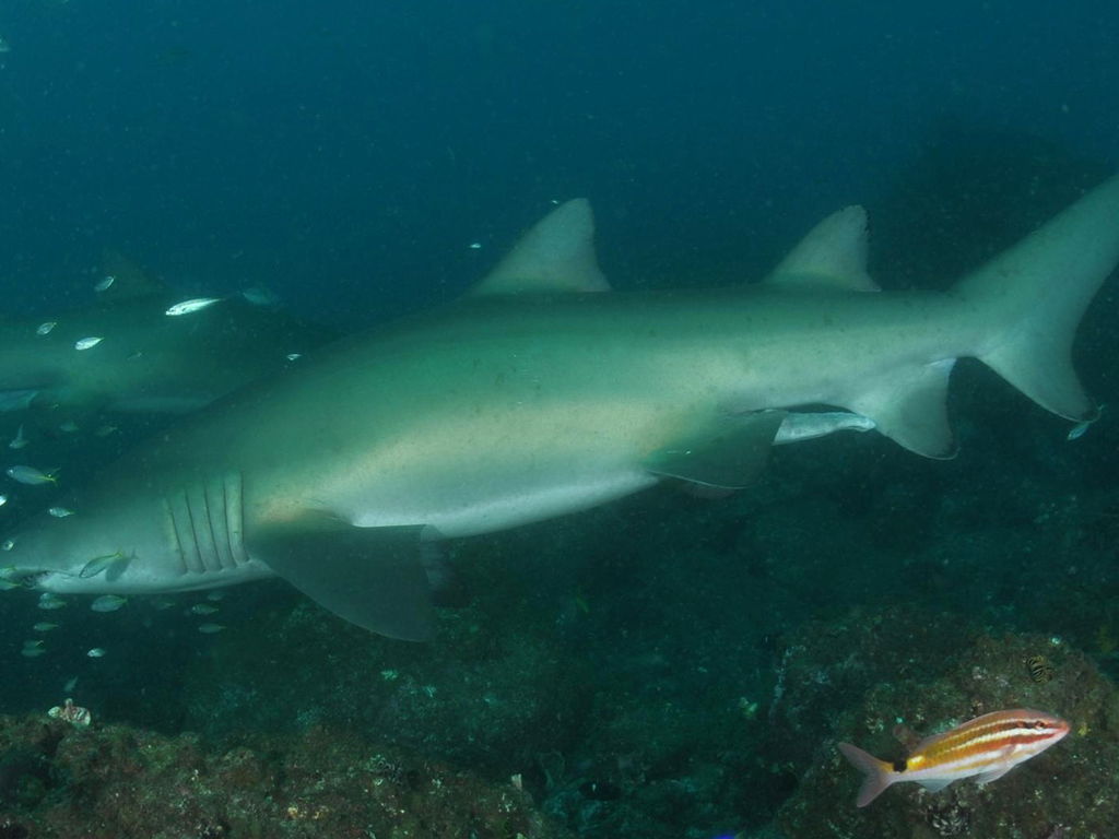 b4c2f106-3164-4429-bfb8-11bbe154c479